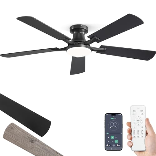 Best Ceiling Light Ceiling Fan