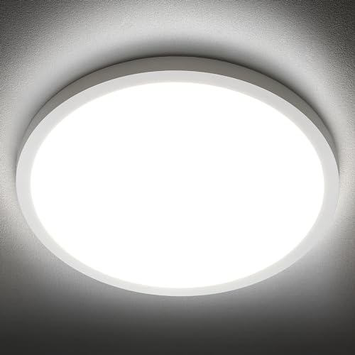 Best Ceiling Light Fixture