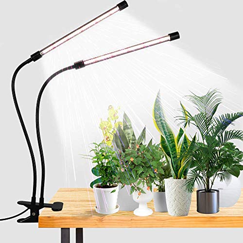 Best Grow Light for Indoor Plants
