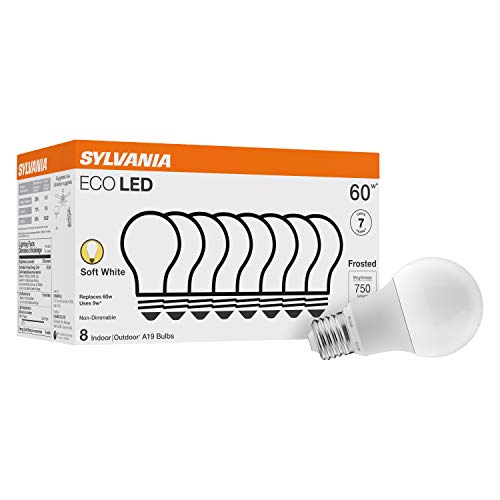 Best Light Bulbs