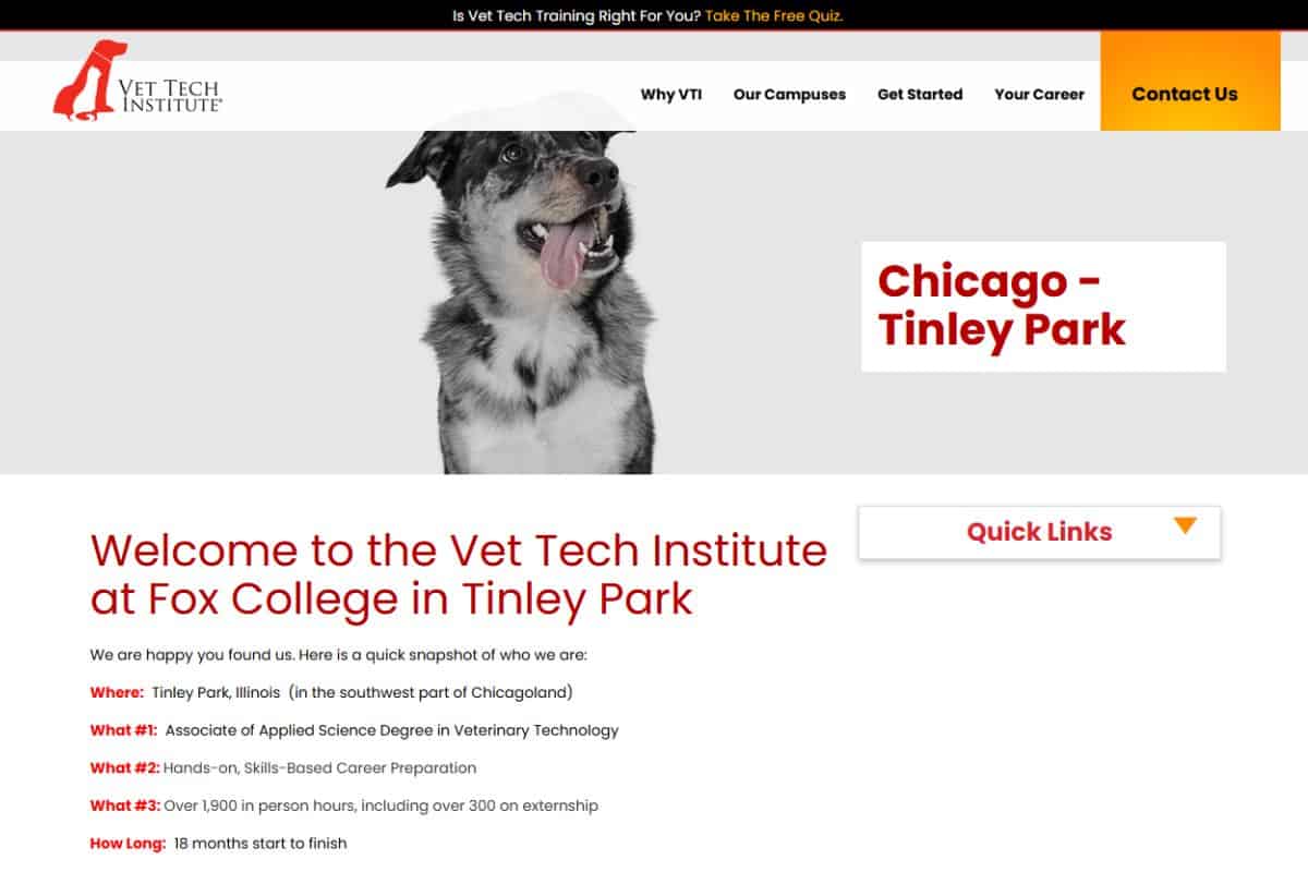 How Long Does It Take to Be a Vet Tech: Your Ultimate Timeline Guide