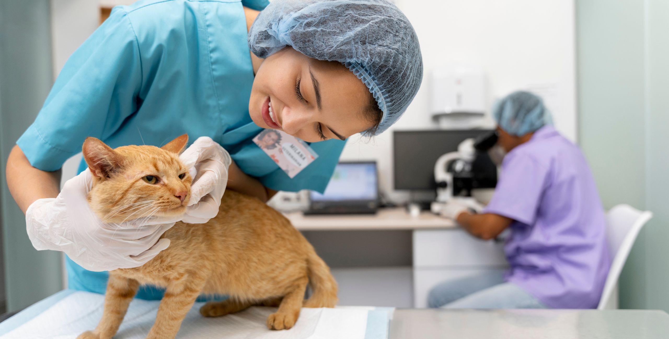 How Long to Become a Vet Tech: Ultimate Guide to Fast-Track Your Career