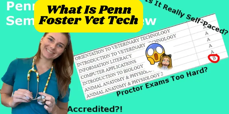 How Much is Penn Foster Vet Tech Program: Affordable Tuition & Cost Breakdown