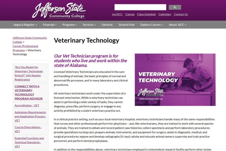 How to Become a Licensed Vet Tech
