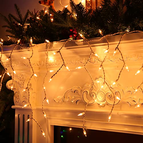 Raleigh Christmas Lights