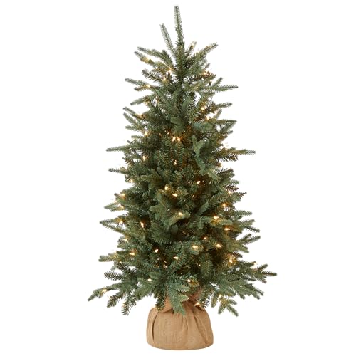 Small Christmas Tree With Lights