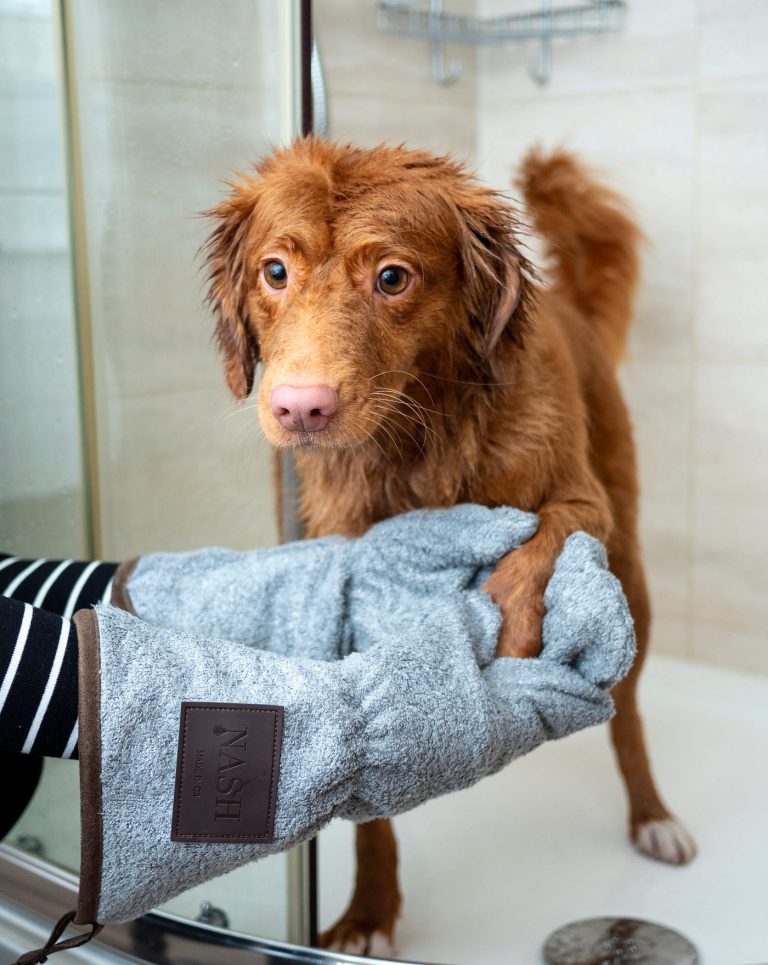 What Do Vet Techs Make