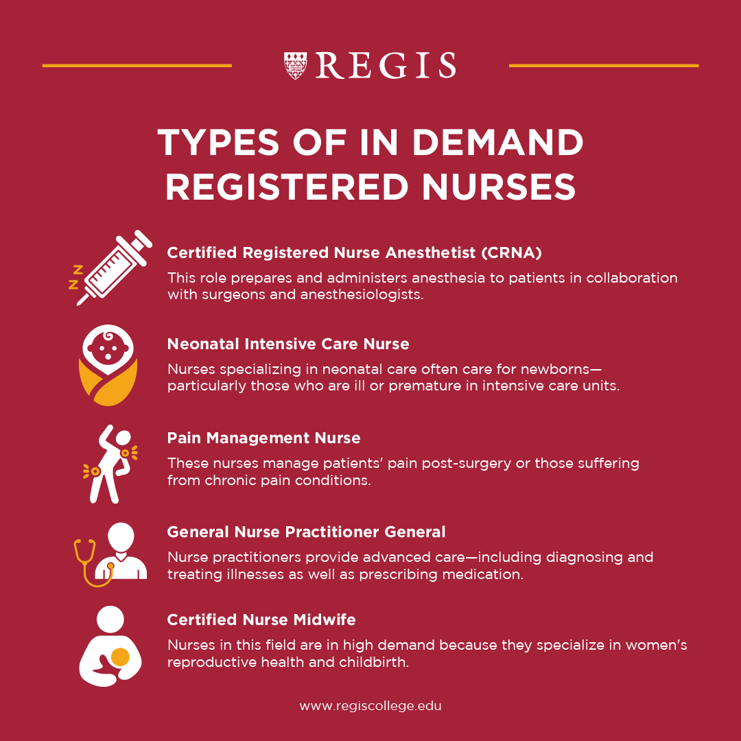 What Does a Nurse Tech Do: Essential Roles and Career Insights