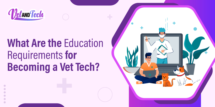 What Schooling Do You Need to Be a Vet Tech