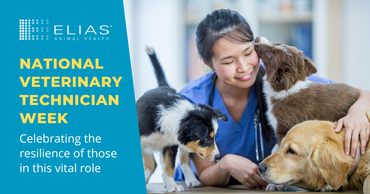 When is Vet Tech Week: Celebrate Veterinary Heroes Nationwide