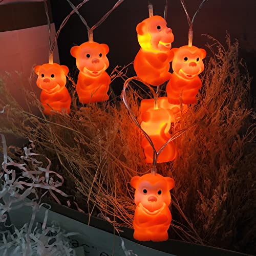 Zoo Christmas Lights