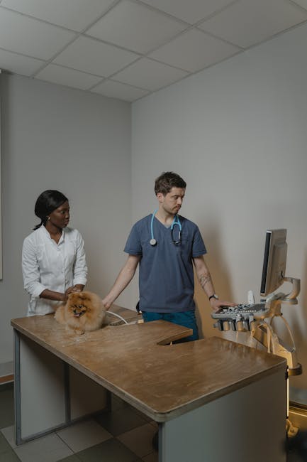 What is the Difference between Vet Assistant And Vet Tech: Key Insights